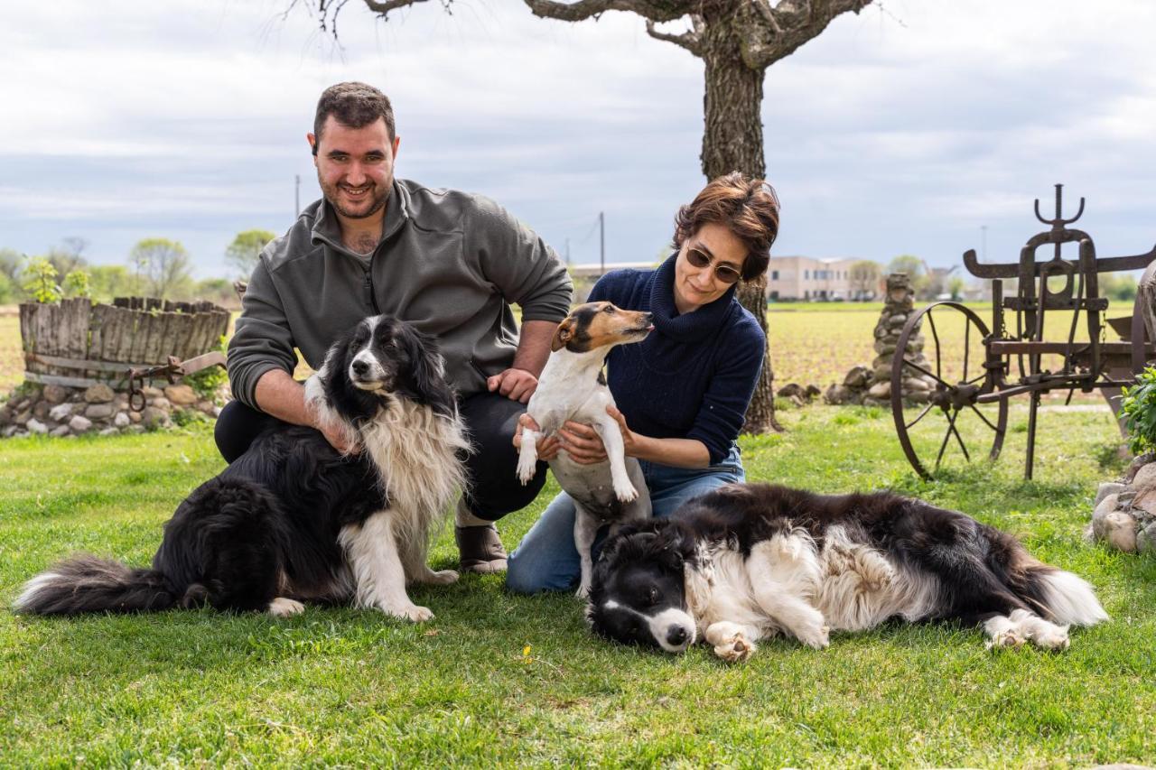 Agriturismo Pozzo Fiorito 카스티리오네델레스티비에레 외부 사진