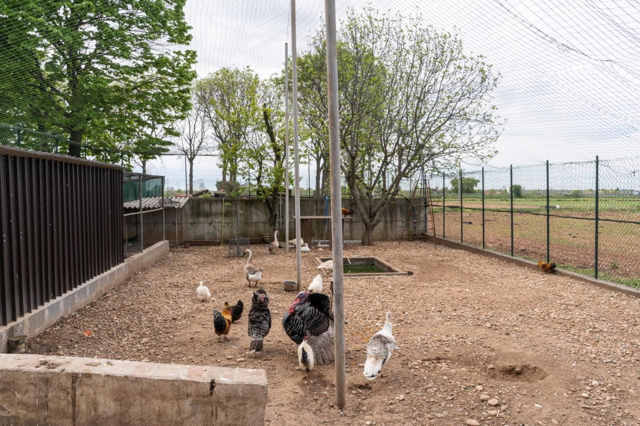 Agriturismo Pozzo Fiorito 카스티리오네델레스티비에레 외부 사진