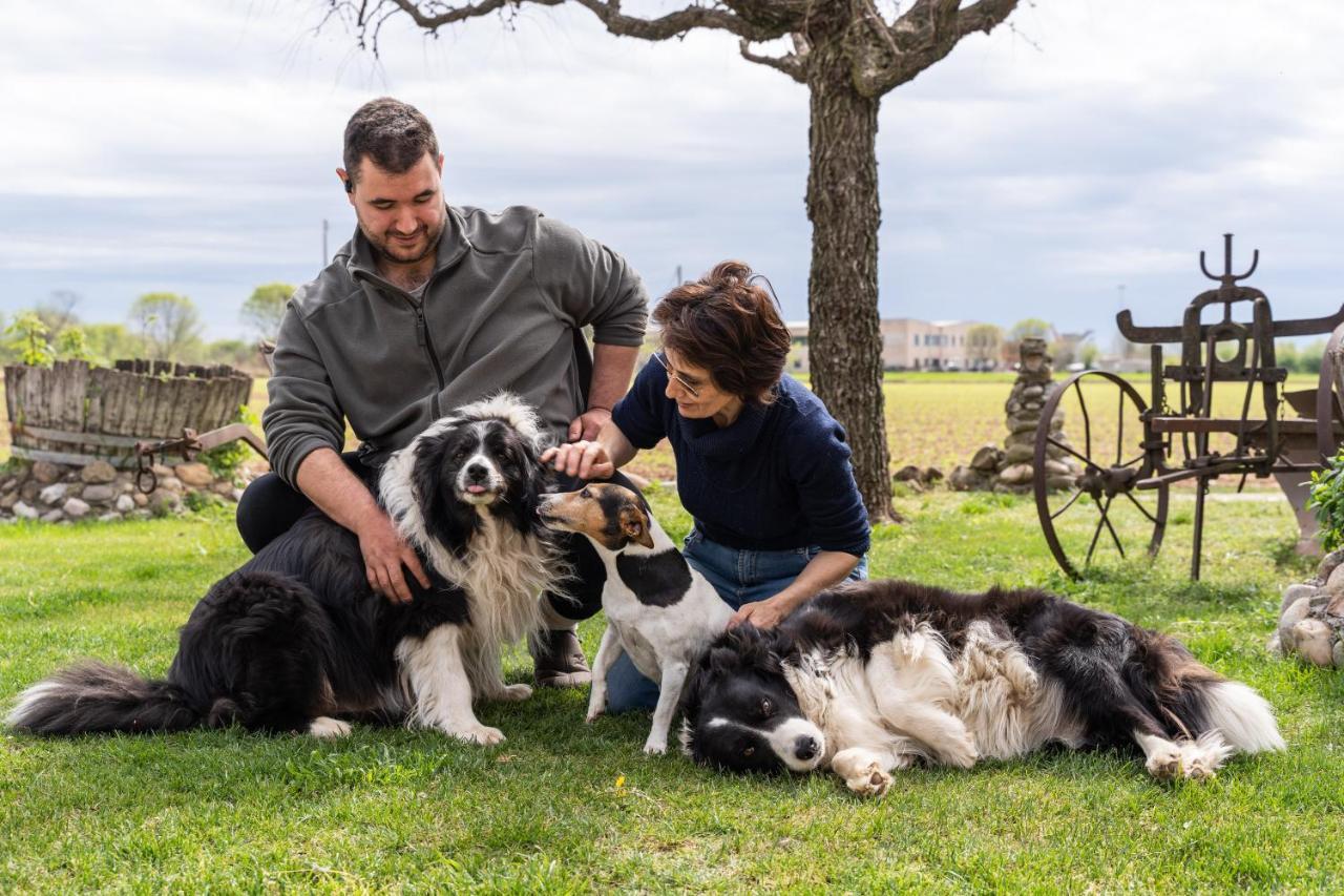 Agriturismo Pozzo Fiorito 카스티리오네델레스티비에레 외부 사진
