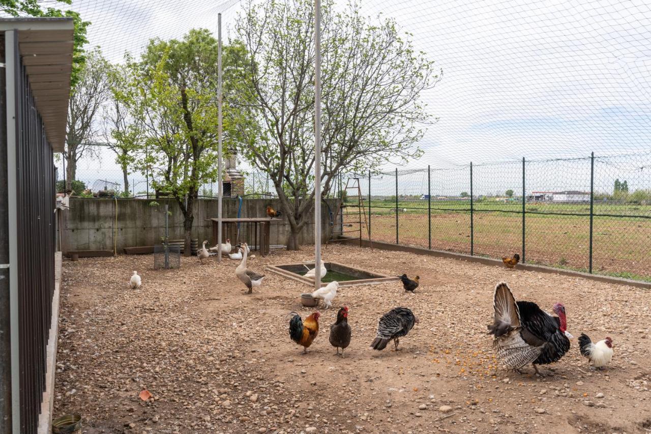 Agriturismo Pozzo Fiorito 카스티리오네델레스티비에레 외부 사진