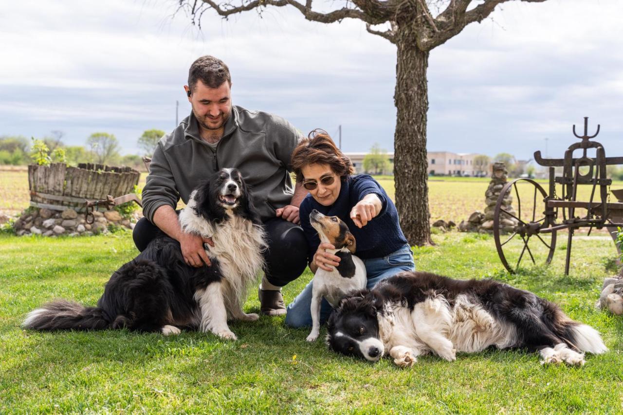Agriturismo Pozzo Fiorito 카스티리오네델레스티비에레 외부 사진