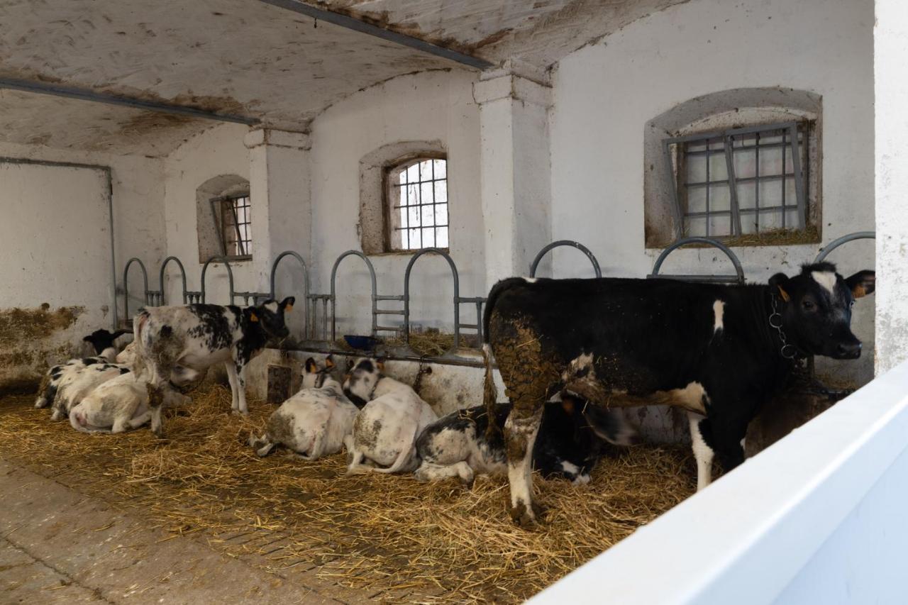 Agriturismo Pozzo Fiorito 카스티리오네델레스티비에레 외부 사진